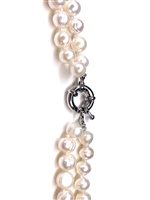 Collana Stocco Gioielli Donna in Perle Perla CPS 20 - CPS 20